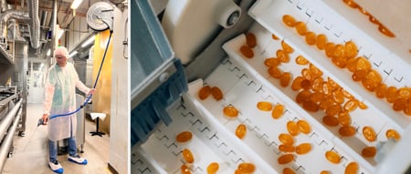 Ricola’s recipe: clean, safe and sustainable food production 
