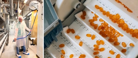 Das Ricola-Rezept: saubere, sichere und nachhaltige Lebensmittelproduktion