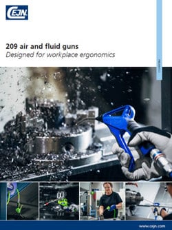 209 air and fluid guns